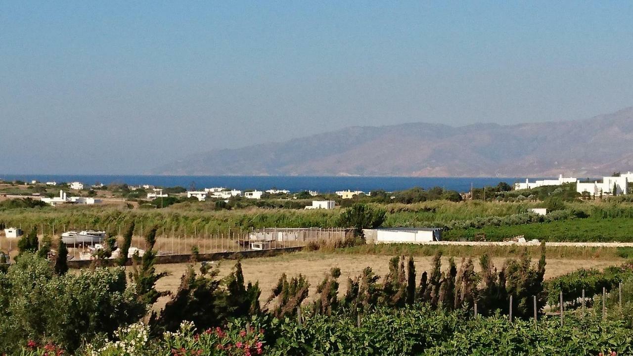 אמבלאס Villa Kampos Naousa-Marpisa מראה חיצוני תמונה