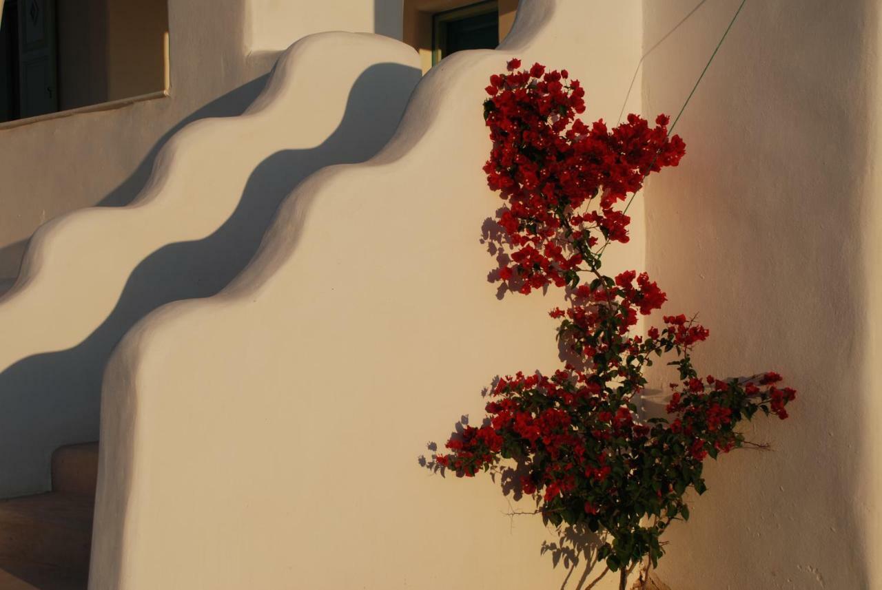 אמבלאס Villa Kampos Naousa-Marpisa מראה חיצוני תמונה