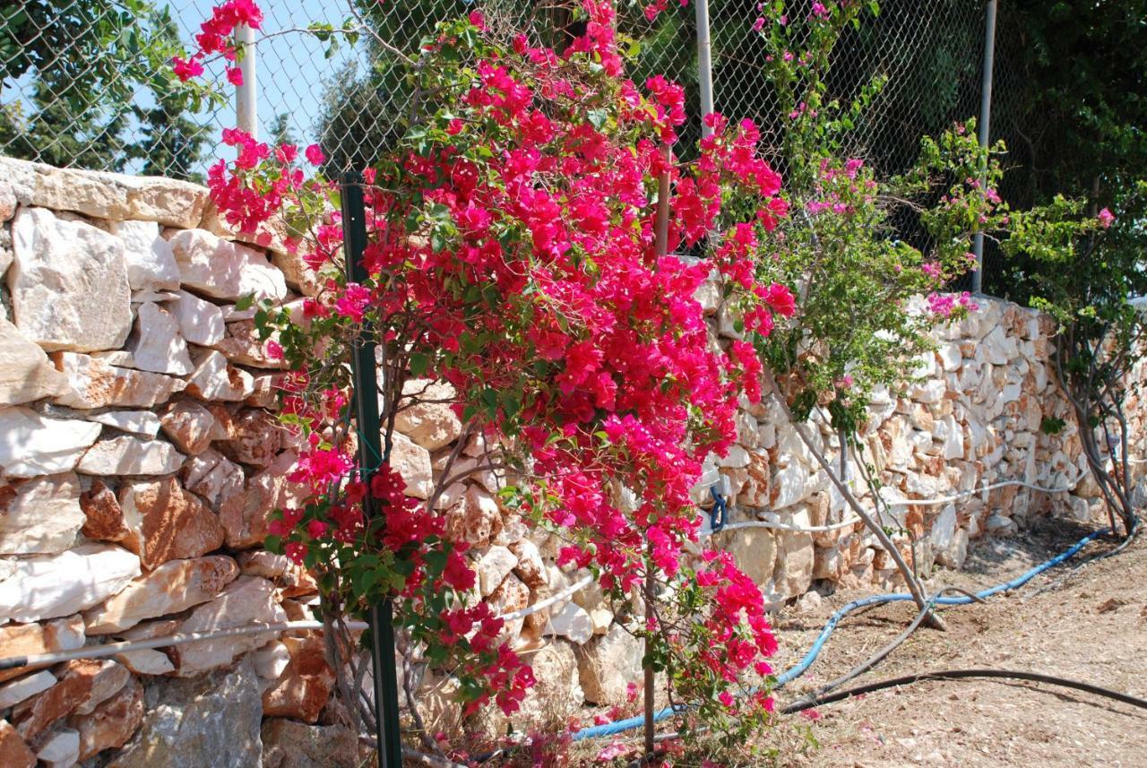 אמבלאס Villa Kampos Naousa-Marpisa מראה חיצוני תמונה