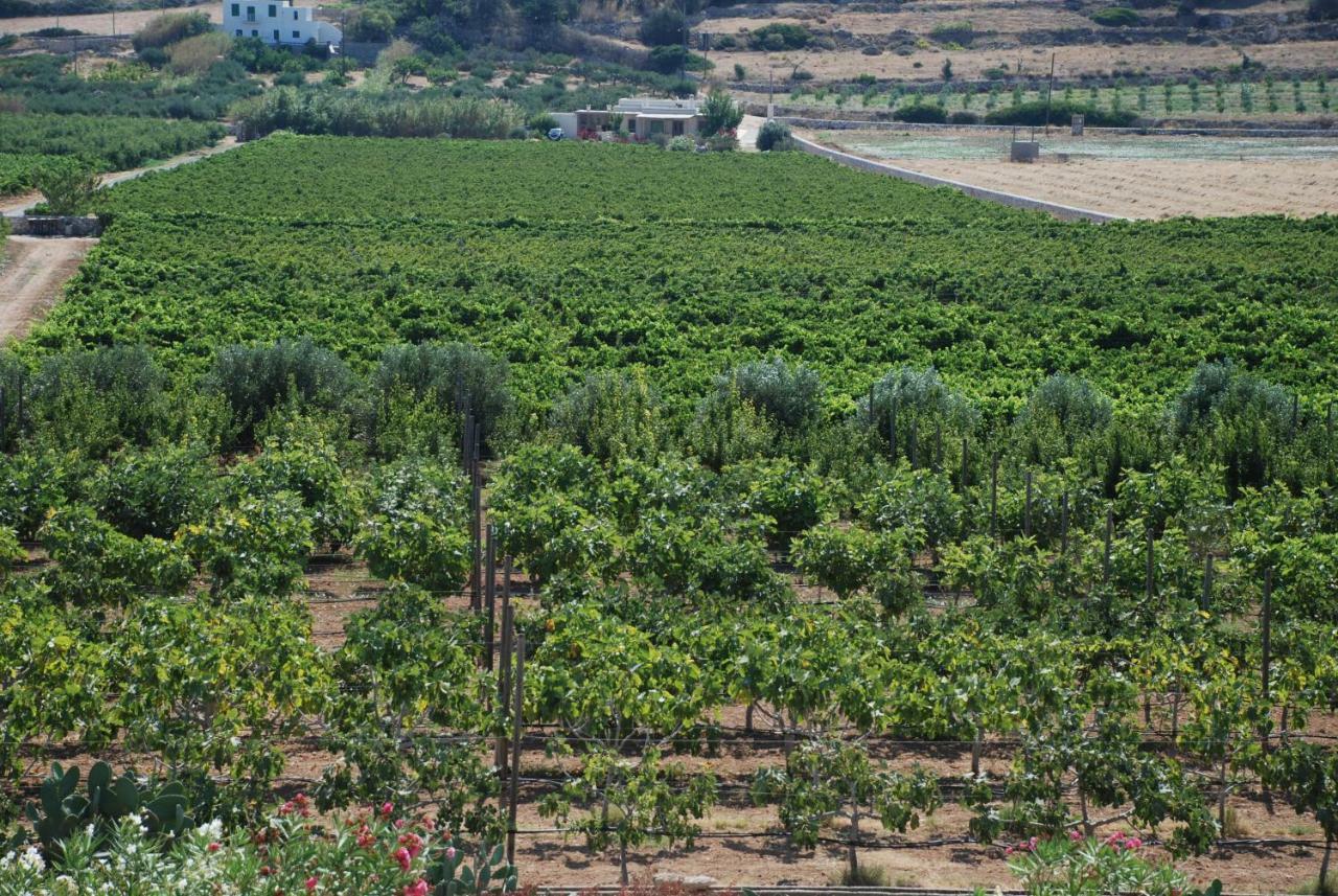 אמבלאס Villa Kampos Naousa-Marpisa מראה חיצוני תמונה